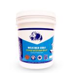 Olympia Weather Coat - Exterior Water Damp Sealer